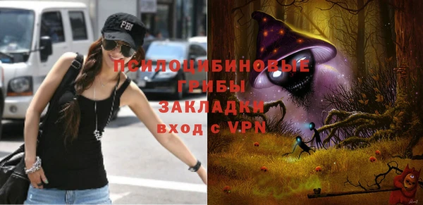 кокс Богородицк