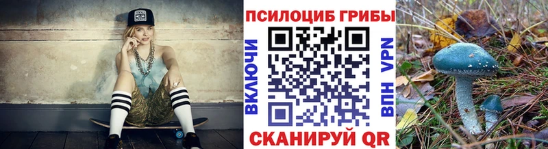omg ONION  Гудермес  Галлюциногенные грибы прущие грибы  купить  