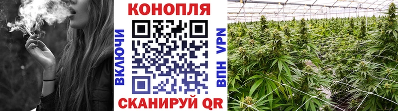 Каннабис марихуана  kraken маркетплейс  Гудермес 